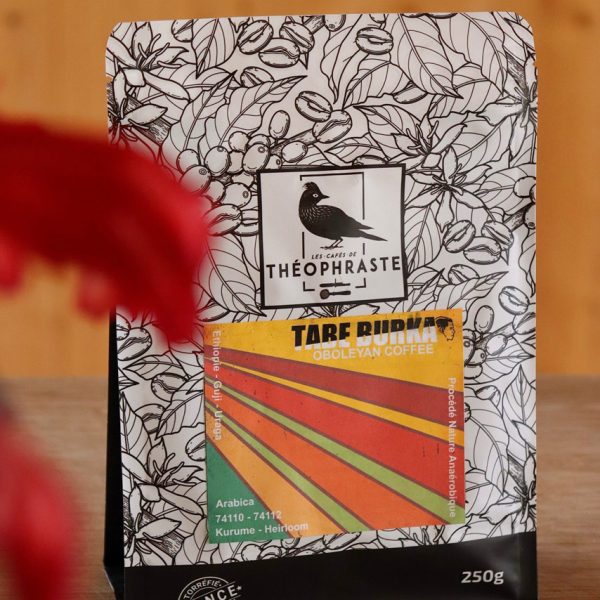 Les cafés de théophraste cafe d ethiopie tabe burka